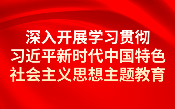 深入開展學(xué)習(xí)貫徹習(xí)近平新時(shí)代中國(guó)特色社會(huì)主義思想主題教育